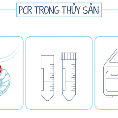 Kỹ thuật PCR trong thủy sản